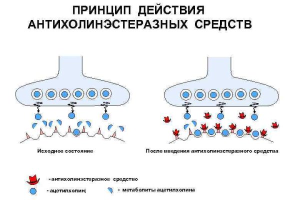 Кракен кз
